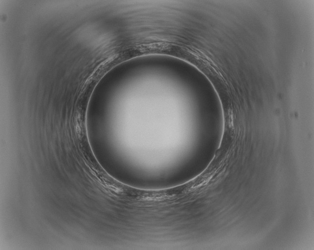 X0000073700915200608031210