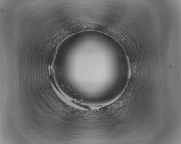 X0000073700916200608031210