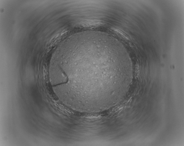 X0000073700917200608031210