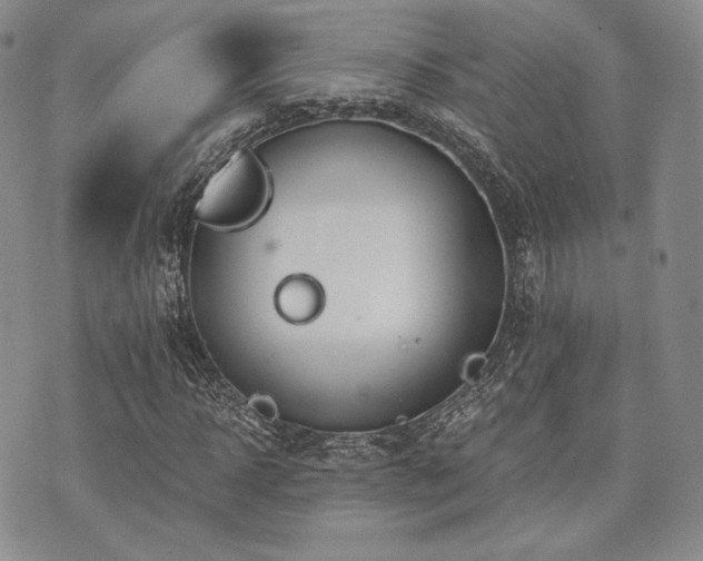 X0000073700918200608031210