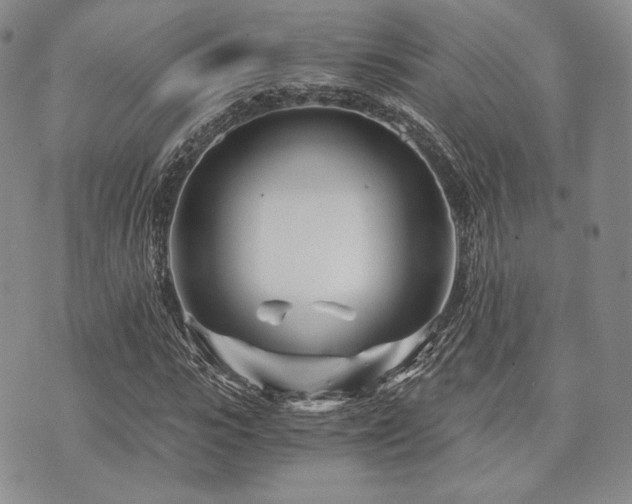 X0000073700919200608031210