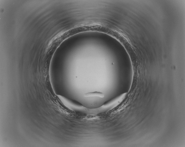 X0000073700920200608031210