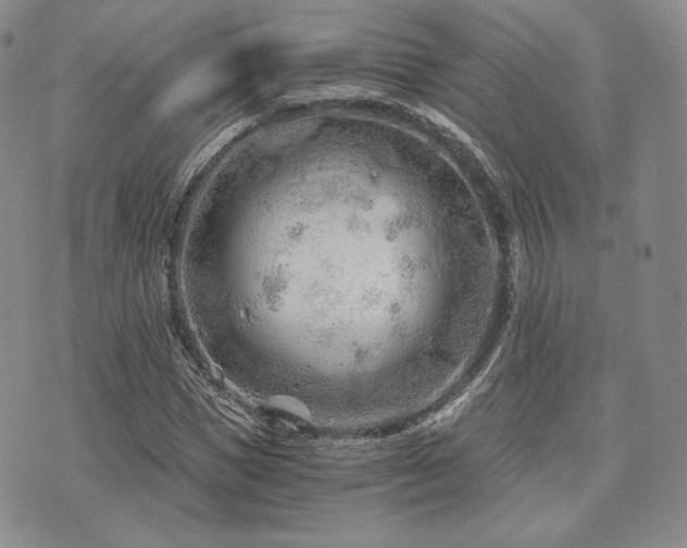 X0000073700921200608031210