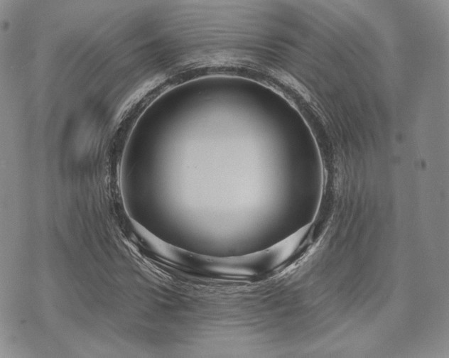 X0000073700922200608031211