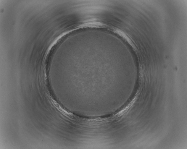 X0000073700923200608031211