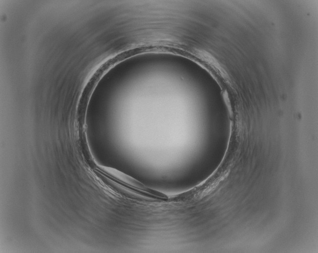 X0000073700924200608031211