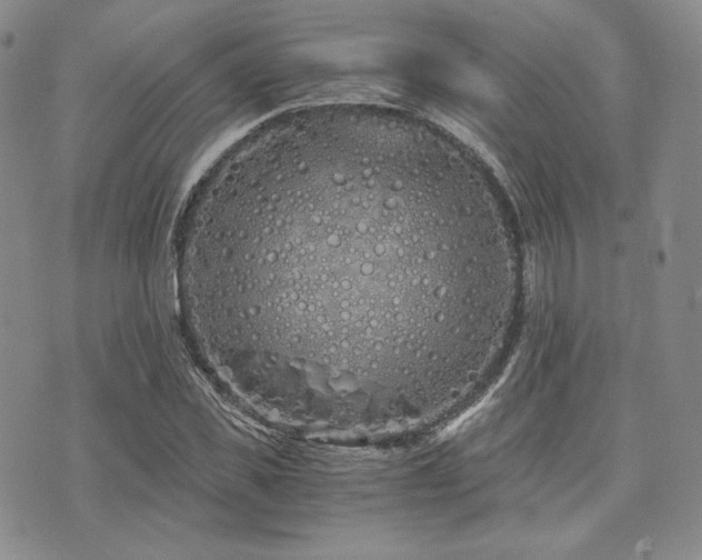 X0000073700925200608031211