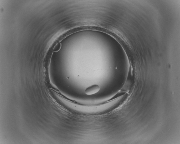 X0000073700926200608031211