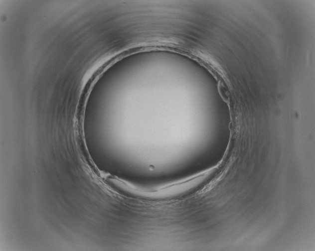 X0000073700928200608031211