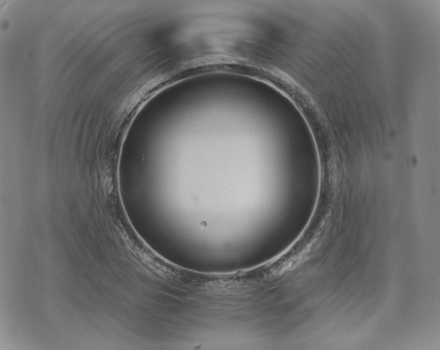 X0000073700929200608031211