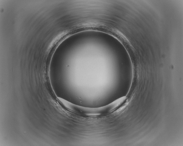 X0000073700930200608031211