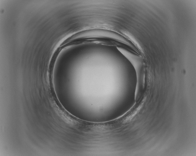 X0000073700932200608031211