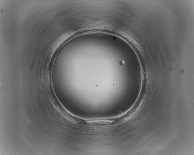 X0000073700933200608031211