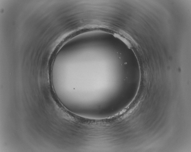 X0000073700934200608031211