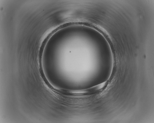 X0000073700935200608031211