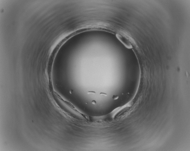 X0000073700936200608031211