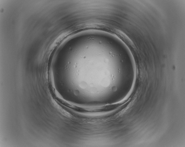 X0000073700938200608031211