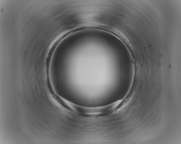 X0000073700939200608031211