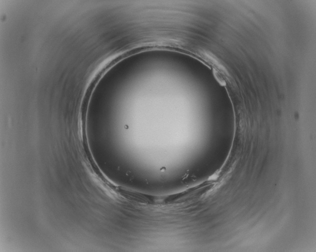 X0000073700940200608031211