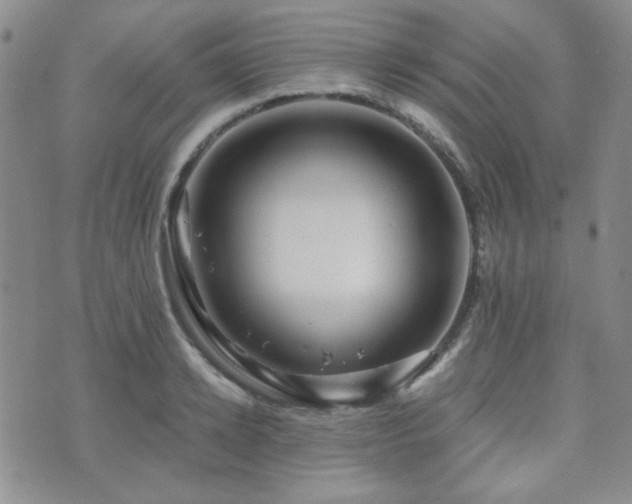 X0000073700942200608031211