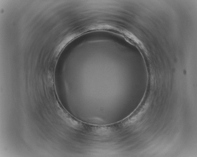 X0000073700945200608031211