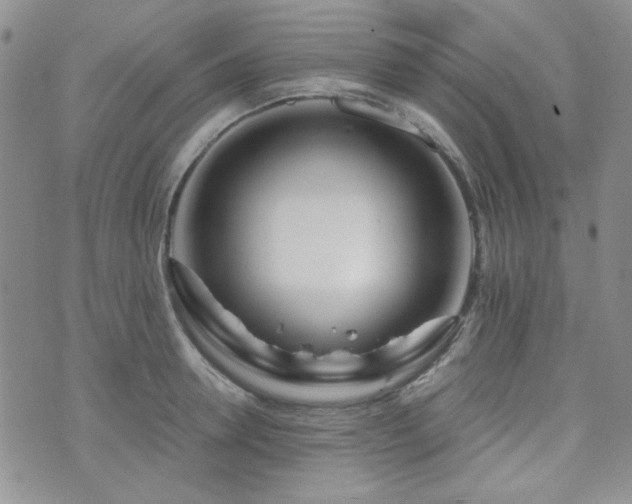 X0000073700946200608031211