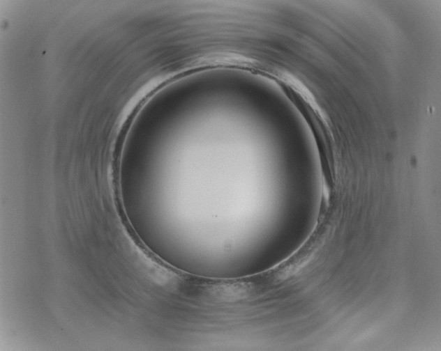 X0000073700947200608031211