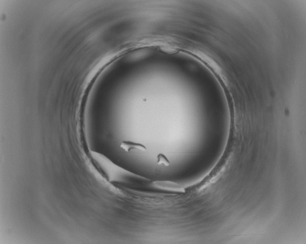 X0000073700949200608031211