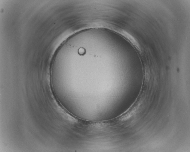 X0000073700950200608031211