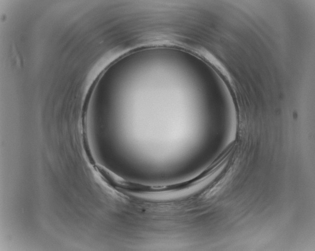 X0000073700951200608031211