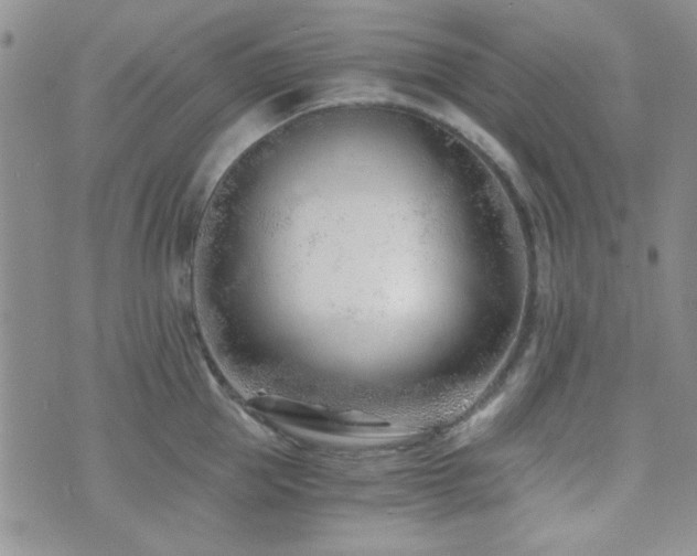 X0000073700953200608031211