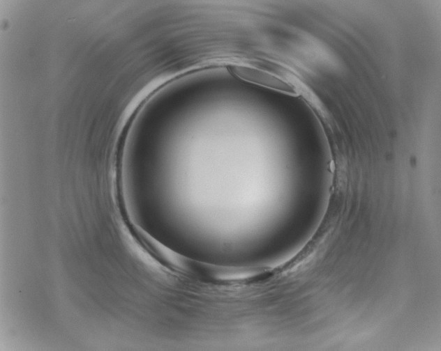 X0000073700955200608031211