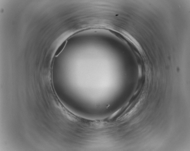 X0000073700956200608031211