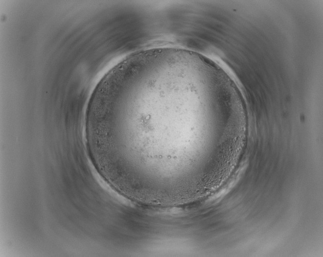 X0000073700957200608031211