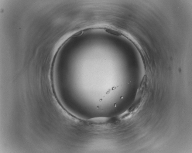 X0000073700959200608031211