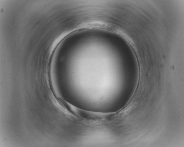 X0000073700960200608031211