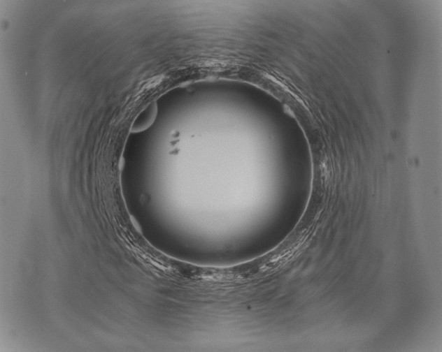 X0000073700961200608031210