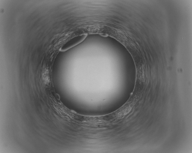 X0000073700962200608031210