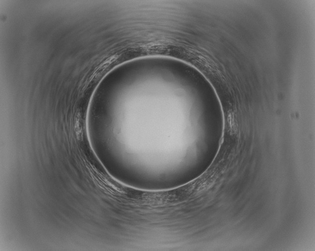 X0000073700963200608031210