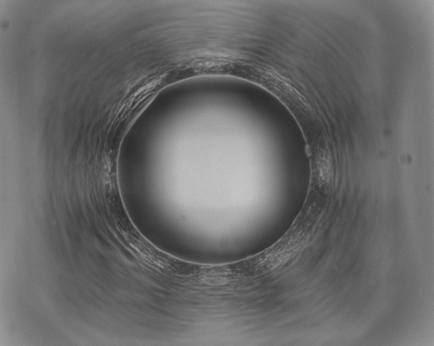 X0000073700964200608031210