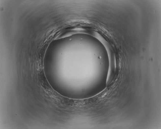 X0000073700965200608031210