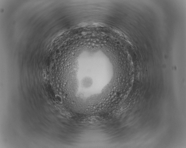 X0000073700966200608031210