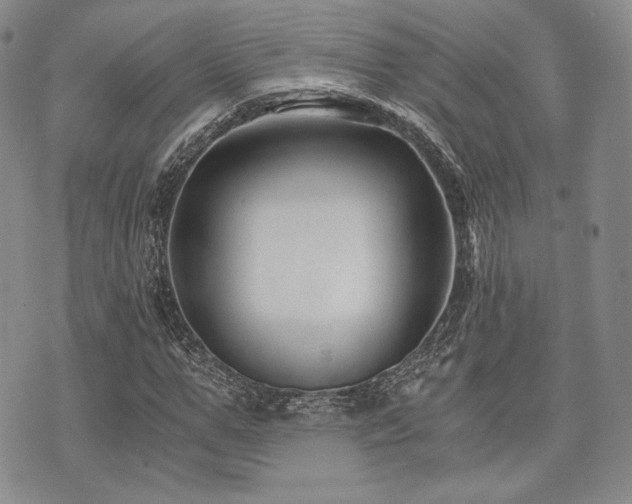 X0000073700967200608031210