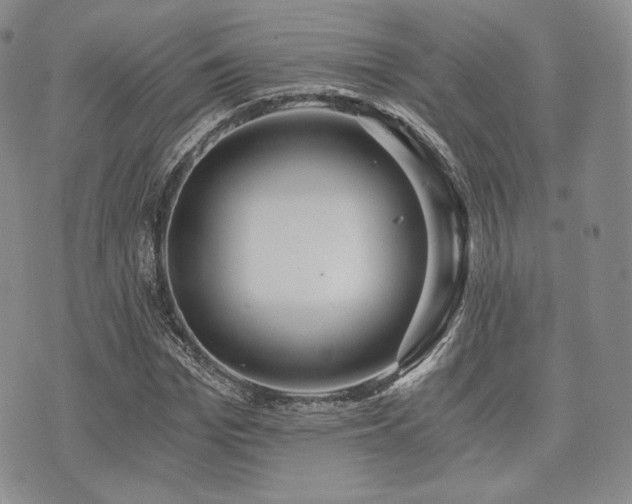 X0000073700969200608031210