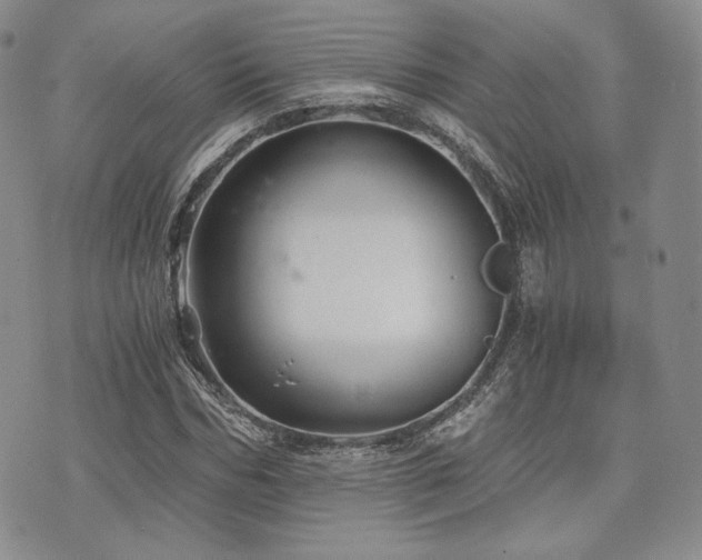 X0000073700970200608031210