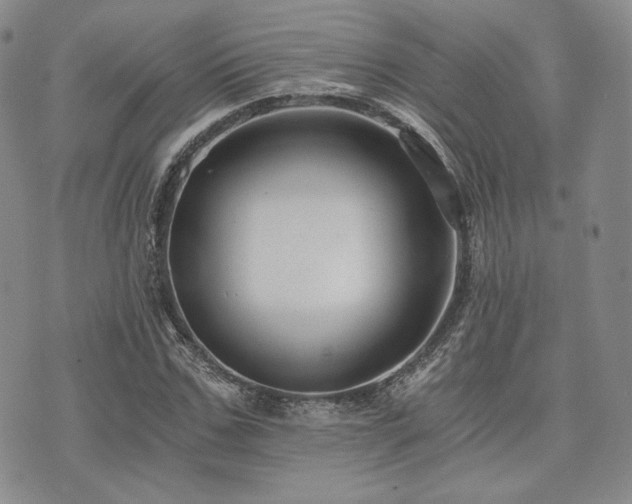 X0000073700971200608031210