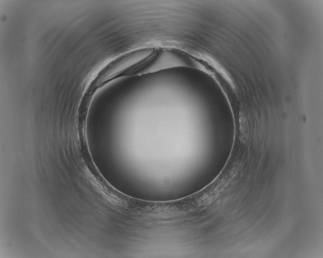 X0000073700972200608031210