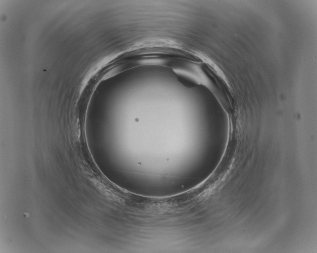 X0000073700973200608031210