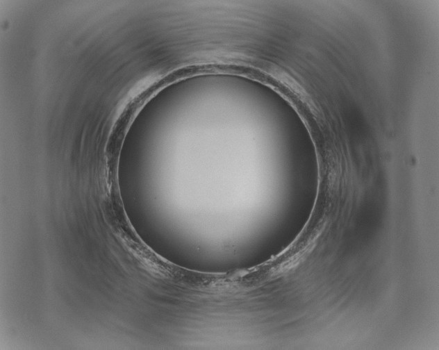 X0000073700974200608031210