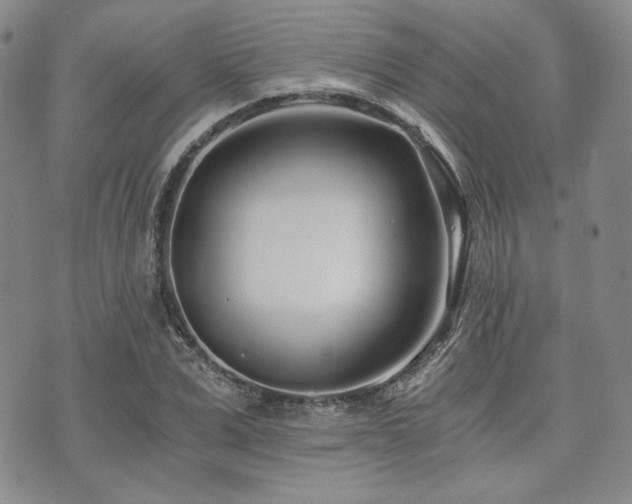 X0000073700975200608031210